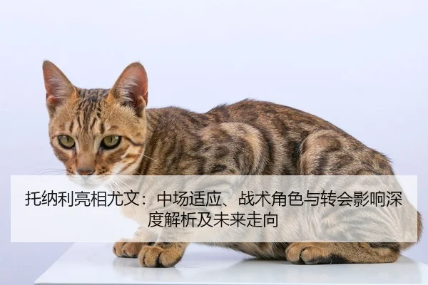 tuo-na-li-liang-xiang-you-wen-zhong-chang-shi-ying-zhan-shu-jue-se-yu-zhuan-hui-ying-xiang-shen-du-jie-xi-ji-wei-lai-2-978.jpg