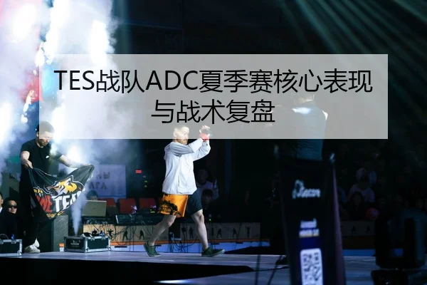 TES战队ADC夏季赛核心表现与战术复盘
