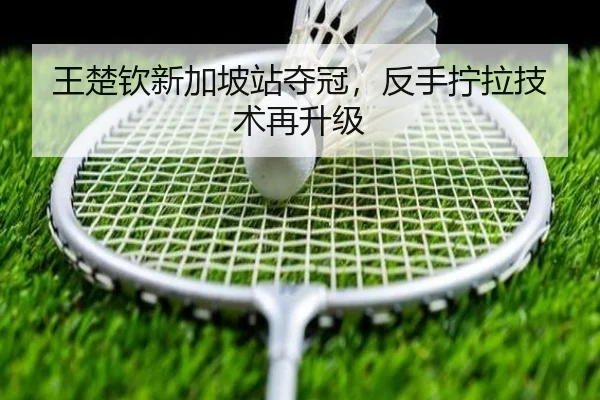 wang-chu-qin-xin-jia-po-zhan-duo-guan-fan-shou-ning-la-ji-shu-zai-sheng-ji-2-232.jpg