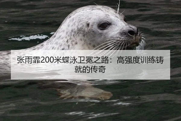 张雨霏200米蝶泳卫冕之路：高强度训练铸就的传奇